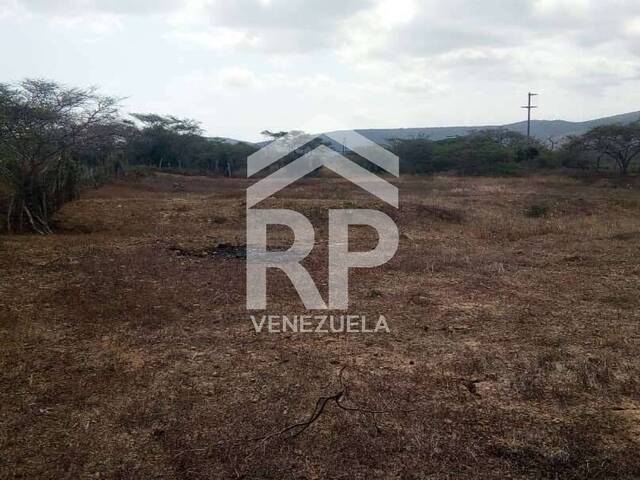 #SGT-126 - Terreno para Venta en Punto Fijo - I