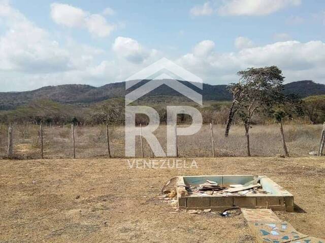 #SGT-126 - Terreno para Venta en Punto Fijo - I