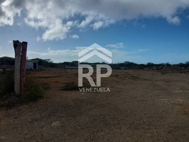 Terreno para Venta en Punto Fijo - 3