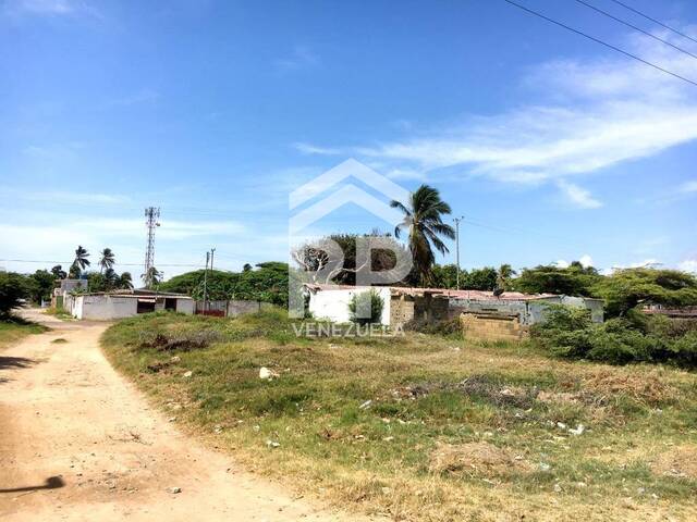 Terreno para Venta en Punto Fijo - 3