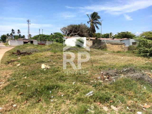 #SGT-056 - Terreno para Venta en Punto Fijo - I