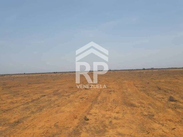 #SGT-127 - Terreno para Venta en Punto Fijo - I