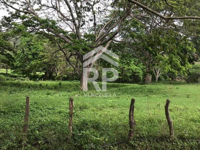 INVEST-PLUS para Venta en Yaracal - 4