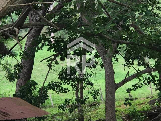 INVEST-PLUS para Venta en Yaracal - 5