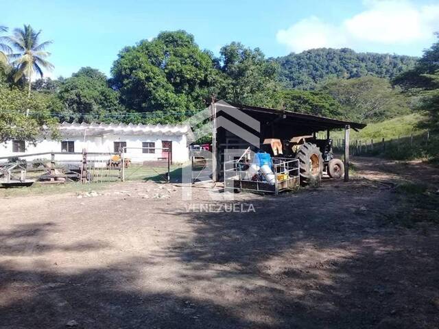 #SGF-009 - INVEST-PLUS para Venta en Yaracal - I