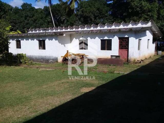 #SGF-009 - Finca para Venta en Punto Fijo - I