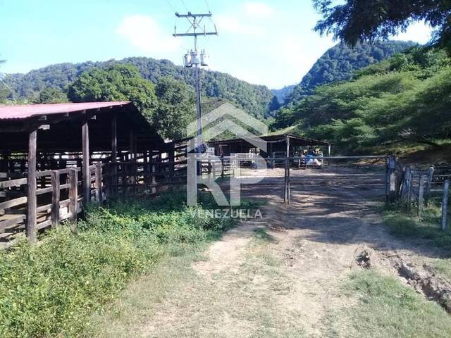 #SGF-009 - Finca para Venta en Punto Fijo - I