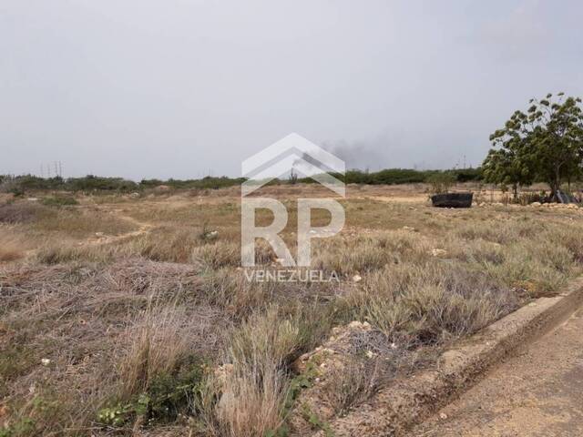 #SGT-062 - Terreno para Venta en Punto Fijo - I