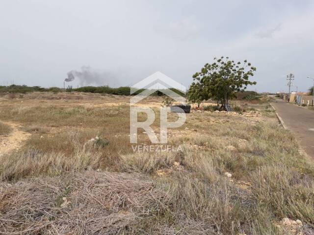 #SGT-062 - Terreno para Venta en Punto Fijo - I