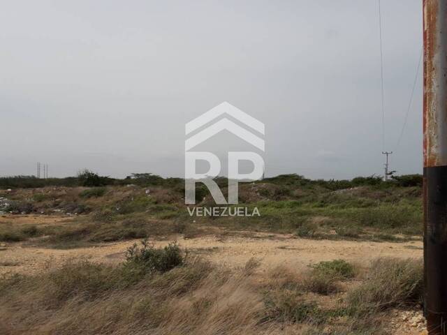 Terreno para Venta en Punto Fijo - 1