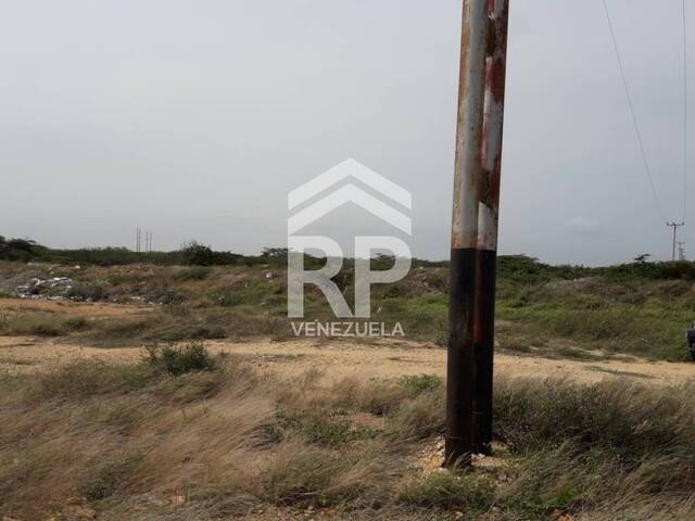 #SGT-058 - Terreno para Venta en Punto Fijo - I