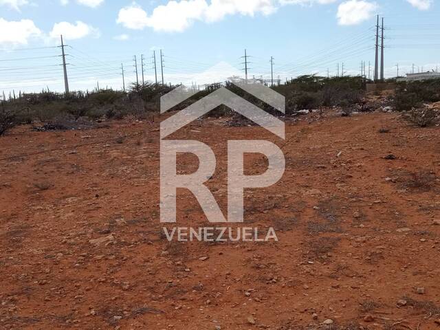 #SGT-086 - Terreno para Venta en Punto Fijo - I