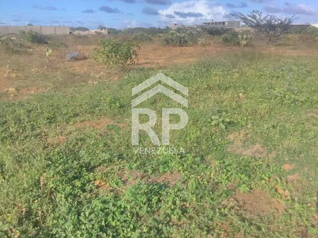 #SGT-054 - Terreno para Venta en Punto Fijo - I