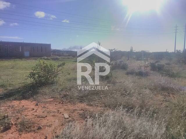 #SGT-054 - Terreno para Venta en Punto Fijo - I