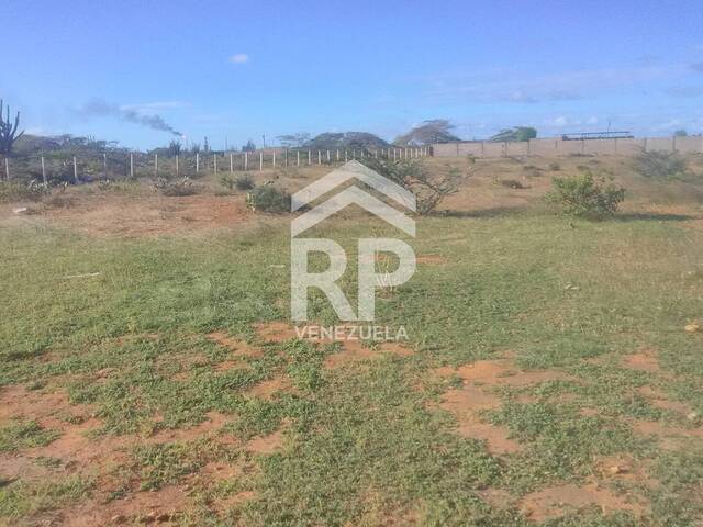 #SGT-054 - Terreno para Venta en Punto Fijo - I