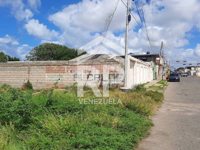 #SGT-132 - Terreno para Venta en Punto Fijo - I