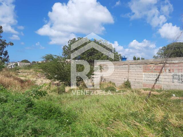 #SGT-132 - Terreno para Venta en Punto Fijo - I