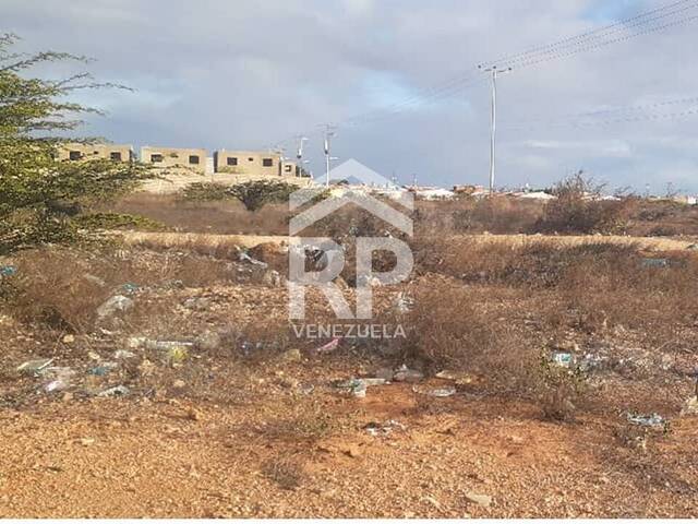 #SGT-081 - Terreno para Venta en Punto Fijo - I