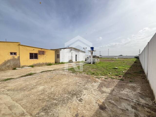 Área para Venta en Punto Fijo - 4