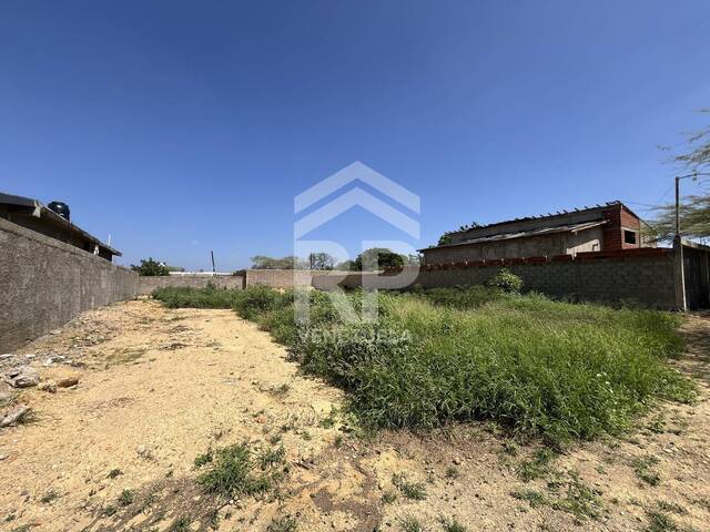 Terreno para Venta en Punto Fijo - 4