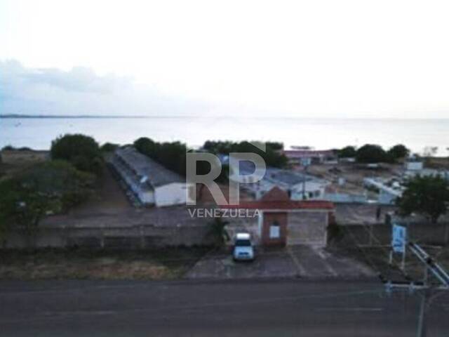 Hotel para Venta en La Vela de Coro - 5