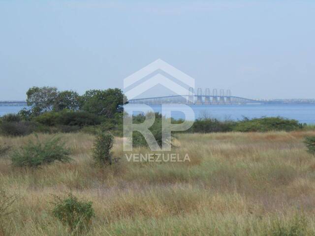 #PLT-005 - Terreno para construcción para Venta en Santa Rita - V