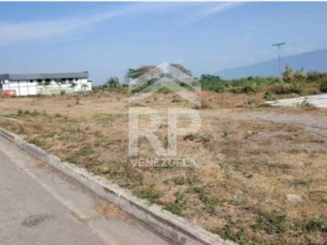 Área para Venta en Urachiche - 5
