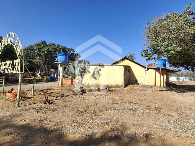 Granja Finca para Venta en Barquisimeto - 5