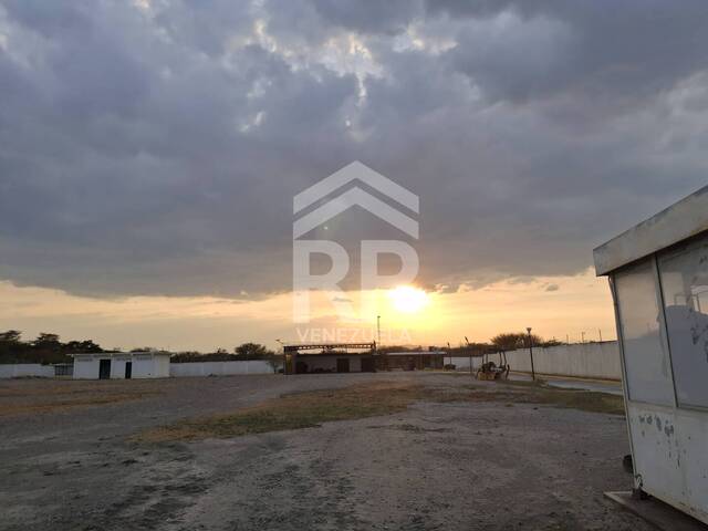 #CRT-004 - Terreno para Venta en Quibor - K