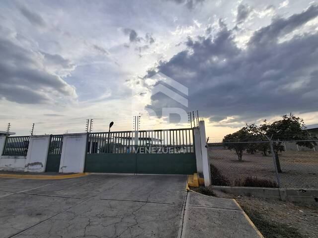 Terreno para Venta en Quibor - 5