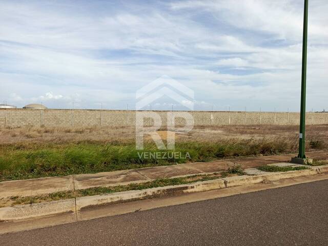 Área para Venta en Punto Fijo - 3