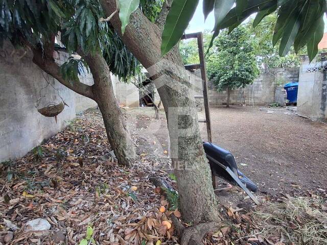 Terreno para Venta en Barquisimeto - 4