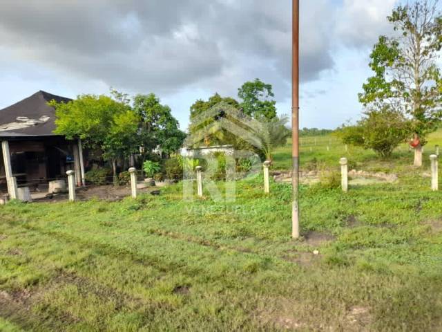 #SMF-001 - Finca para Venta en Maturín - N