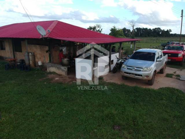 Finca para Venta en Maturín - 4