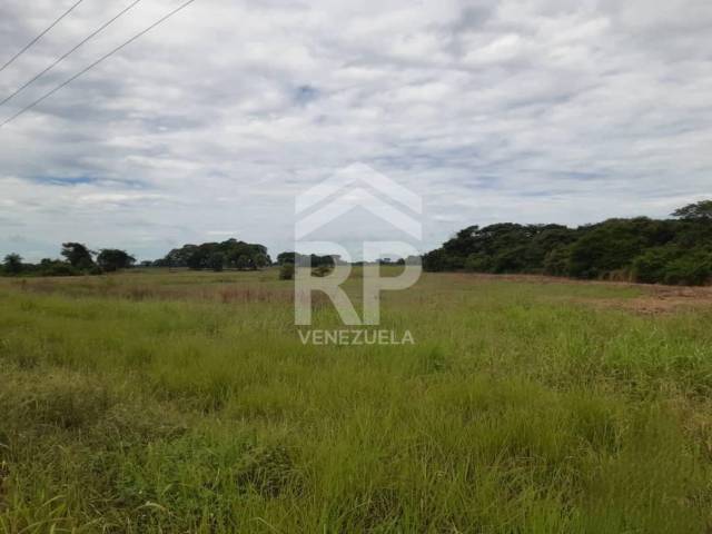 Finca para Venta en El Baúl - 4