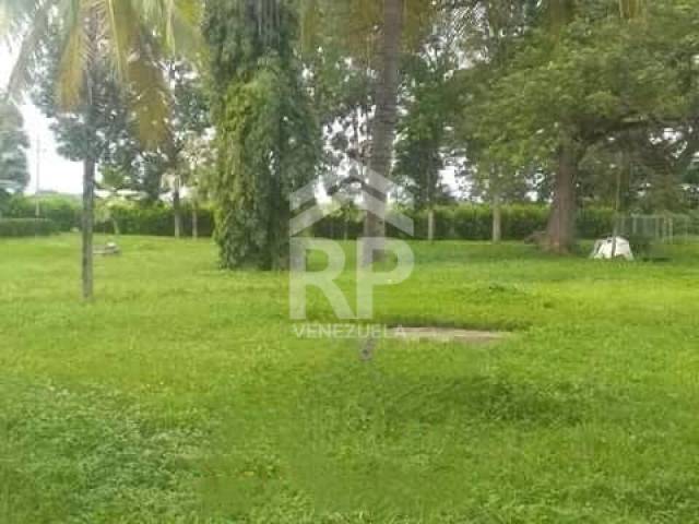 Finca para Venta en El Baúl - 3