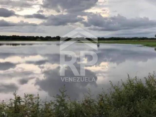 Industrial para Venta en Calabozo - 5