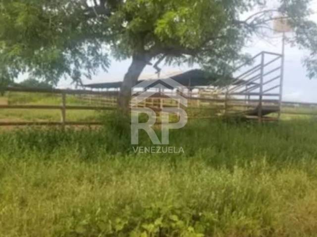 #SMF-003 - Industrial para Venta en Calabozo - J