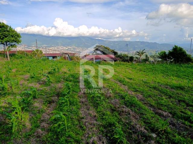 Casa para Venta en San Cristóbal - 4
