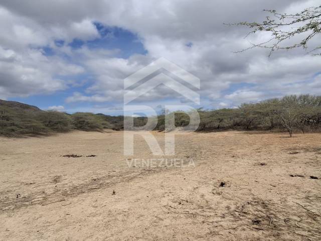 Área para Venta en Barquisimeto - 2