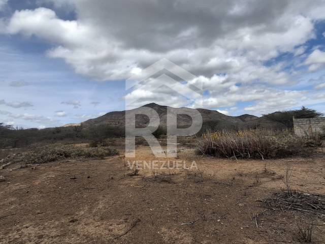 Área para Venta en Barquisimeto - 3