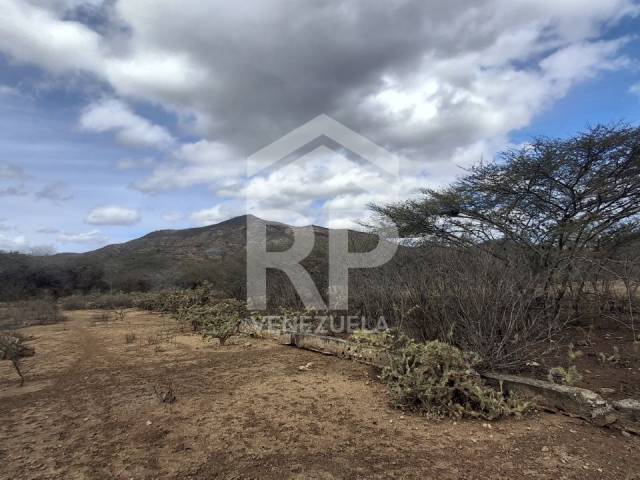 Área para Venta en Barquisimeto - 4