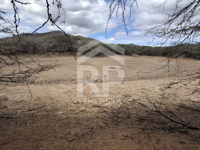 Área para Venta en Barquisimeto - 5