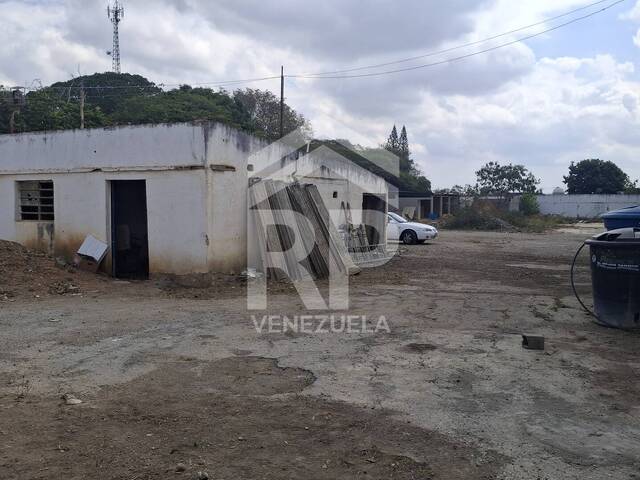Área para Alquiler en Barquisimeto - 4