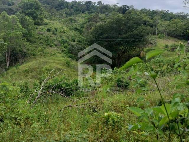 Casa para Venta en San Rafael del Piñal - 5