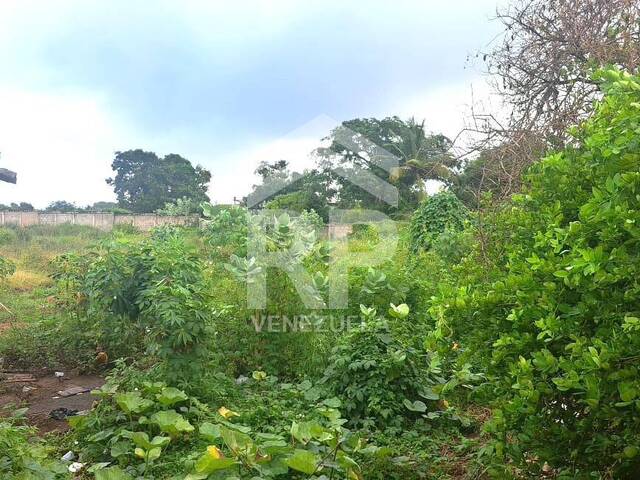 Terreno para Venta en Porlamar - 4