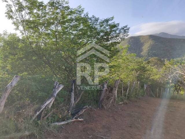 Terreno para Venta en Porlamar - 4