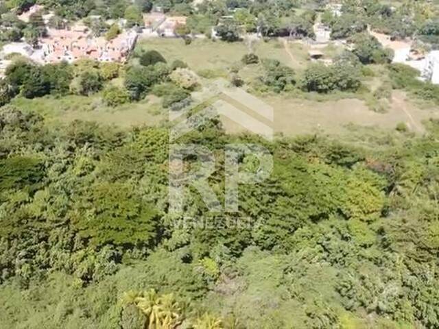 #SMT-007 - INVEST-PLUS para Venta en La Asunción - O