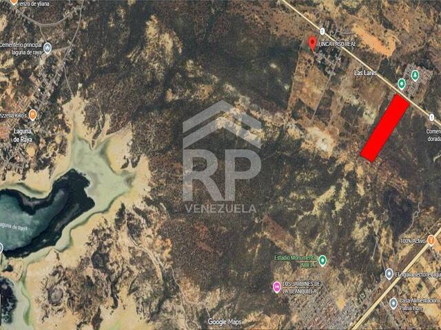 #CGT-003 - Área para Venta en El Valle - O