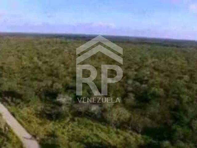 Terreno para Venta en Guarenas - 5